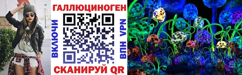 Псилоцибиновые грибы Cubensis  Купить  Себеж 